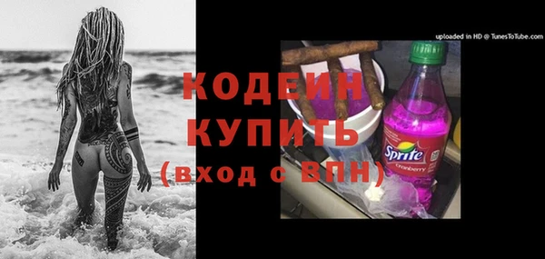 сатива Абаза