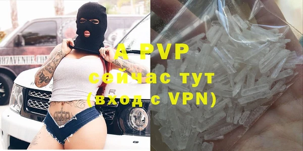крисы Новодвинск